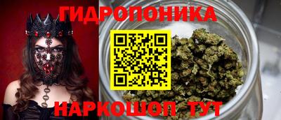 эйфоретик Нарткала