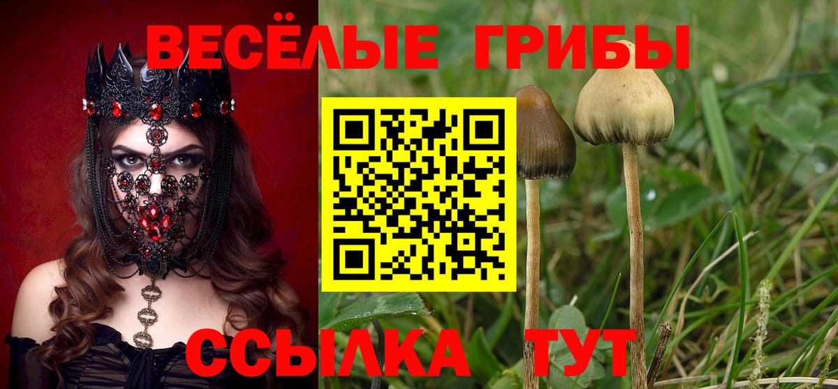 Псилоцибиновые грибы Psilocybine cubensis  Вход с VPN  Тимашёвск 