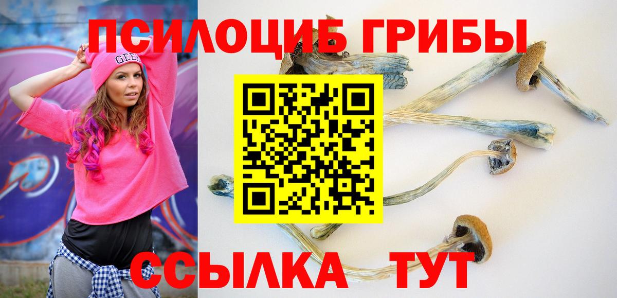 Галлюциногенные грибы MAGIC MUSHROOMS Тимашёвск